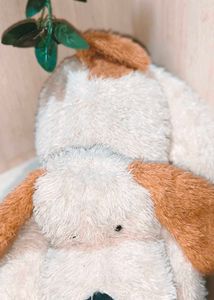 🎁Buy 2 Get 1 Free 🎁Big Size Dog Plush