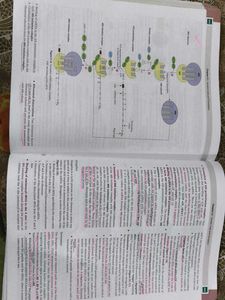 Biochemistry 6th Edition