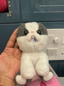 Cute Plush Cat Toy
