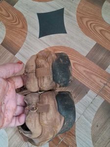 Casual Brown Shoes