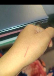 Nude Lip Liner Pencil and Lipstick combo