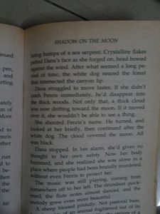 Shadow On The Moon