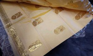 Elegant Cream &amp; Gold Saree