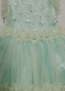 Mint Green Tulle Party Dress
