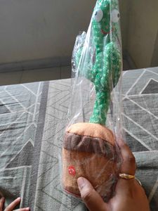 Dancing Cactus Toy