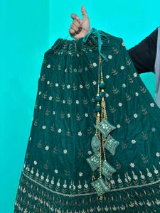 Beautiful Mhendi Lehenga✨