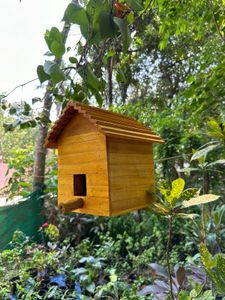 Birds Cage