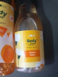 plum combo body mist and shower gel