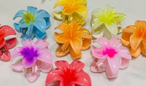 Any 2 Floral Hair Clips