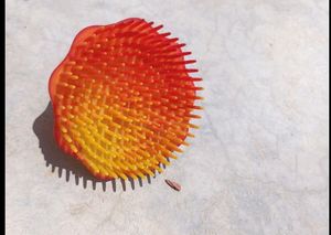 Hair Scalp Massager Shampoo Brush for Men & Women