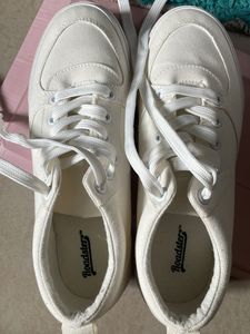 Roadster Canvas Shoes Unisex