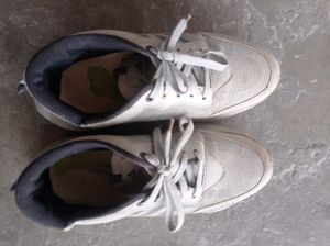 Adidas Sneakers