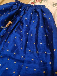 Blue Embellished Ethnic Skirt