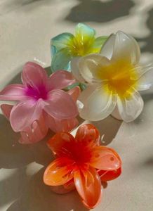 Floral Hair Clips (Pack Of 2)