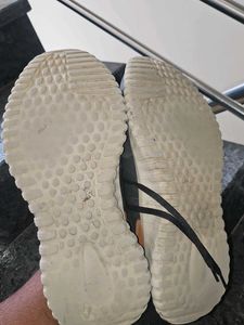 Skechers Casual Shoes