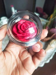 TYPSY BEAUTY Rose Blush