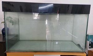 Glass Aquarium With Black Lid
