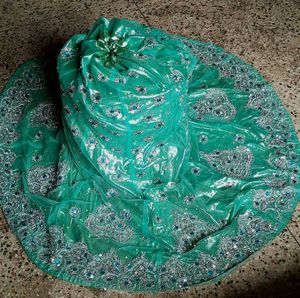 Gorgeous Radium Colour Lehnga Choli