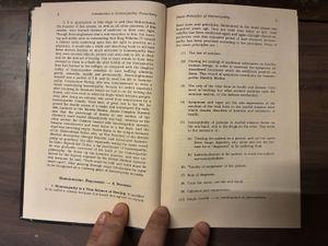 Homeopathic Prescribing Book