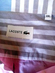 Lacoste Premium Quality Original Shirt