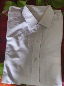 Classic Off White Shirt