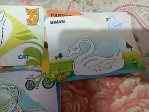 40 Different Flash Cards