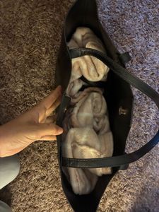 Accessorize Black Tote Bag