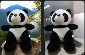 Cool Teddy Bear Black Nd White Colour