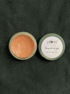 Plum Touch-n-Go Lip &amp; Cheek Tint | Pinched Nude