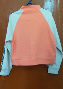 Crop Sweatshirt / Pullover Casual Wear
