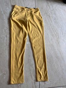 Stylish Mustard Slim Fit Pants