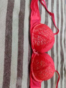 Pink Net Embroidery bra