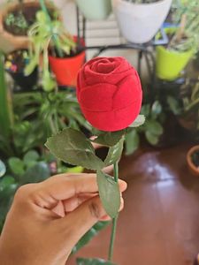 ROSE RING BOX ON SALE