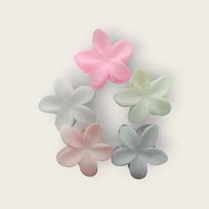Set of 5 Pastel Flower Design Medium Hair Claw