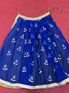 Embroidered Ethnic Skirt