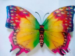 Double Layer Butterfly 🦋 decor Now Free Delivery
