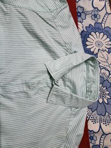 LessUsed LightOliveGreen WithWhiteSripes Shirt