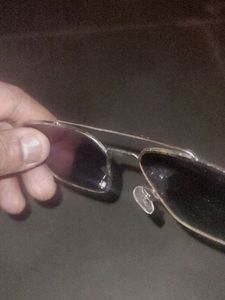 Animal Movie Sunglasses