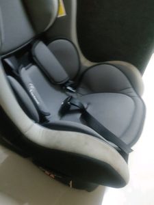 R For rabbit Car Seat