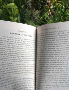 The Odyssey by Homer