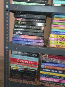 Fiction Book Bundle