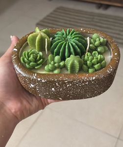 Cactus Garden Candle
