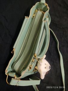 Handbag Slingbag