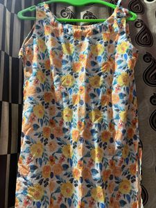 Floral Print Sleeveless Dress