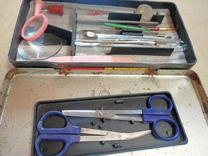 Camel Scholar Dissection Instruments