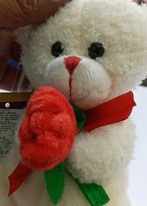 Teddy Super Soft Toys