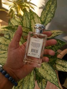 Jo Malone Honeysuckle And Davana 🌸