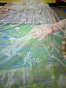 Perfect Organza Saree