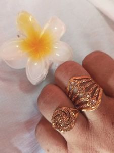 Elegant Bangle Set Nd Rings