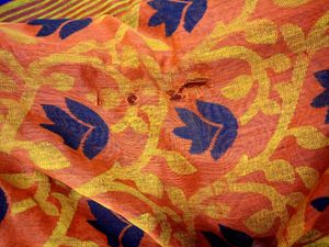 Orange Floral Saree